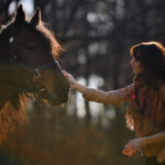 Animal Talk