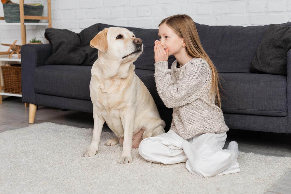 Parlare con gli animali