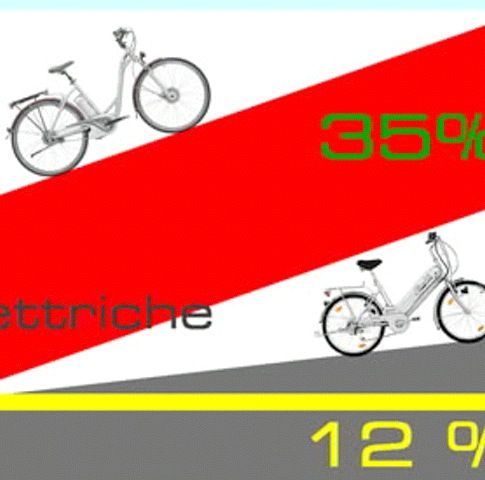 Le nostre bici possono scalare salite fino al 35% di pendenza